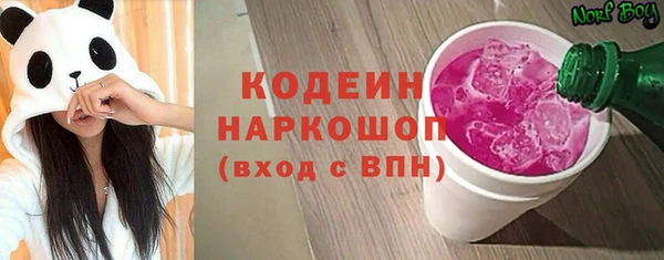 ГАЛЛЮЦИНОГЕННЫЕ ГРИБЫ Верея